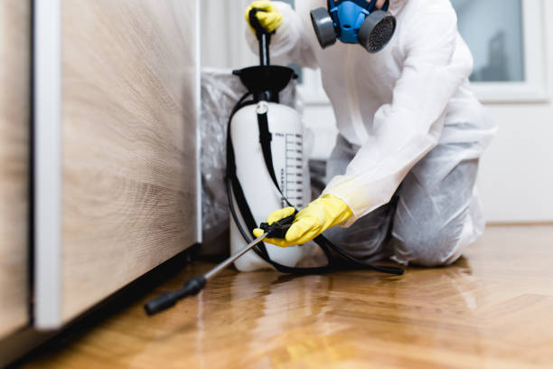 Best Pest Prevention Services  in Albers, IL
