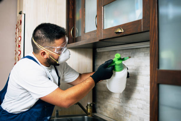 Best Residential Pest Control  in Albers, IL