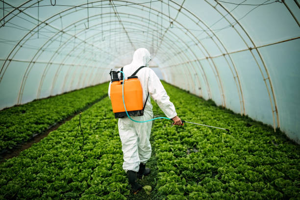 Best Mosquito Control Services  in Albers, IL