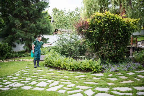 Best Best Pest Control Companies  in Albers, IL