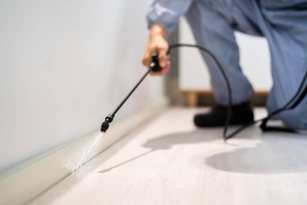 Best Affordable Pest Control Services  in Albers, IL