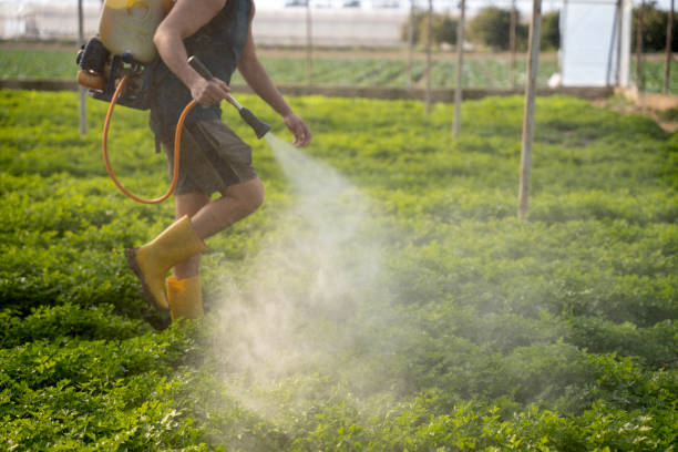 Best Commercial Pest Control Services  in Albers, IL