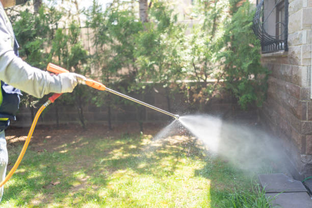 Best Flea Control Services  in Albers, IL
