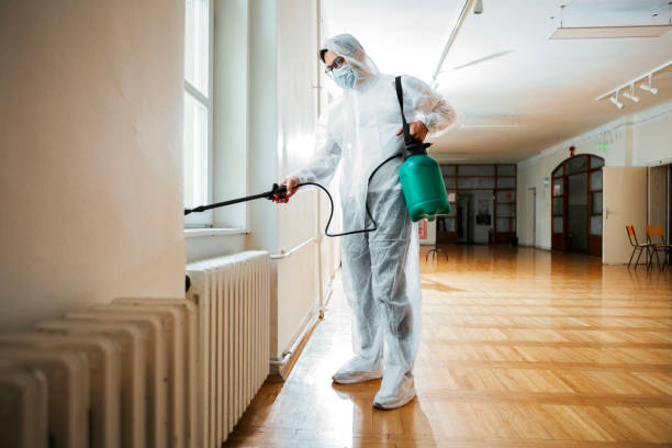 Best Local Pest Control Services  in Albers, IL