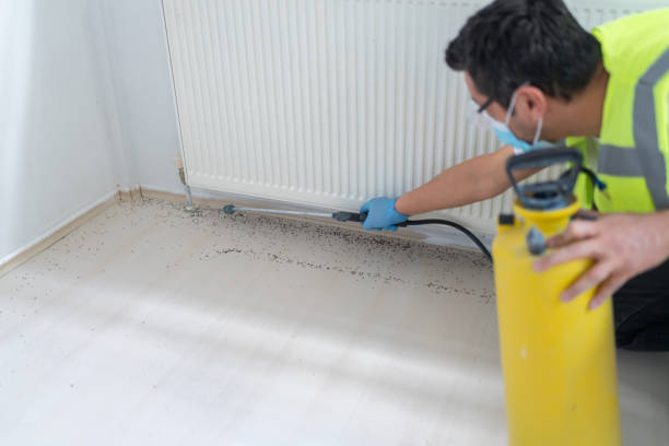 Best Emergency Pest Control  in Albers, IL